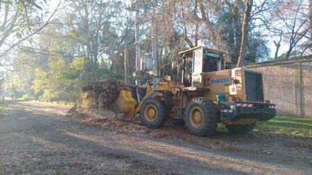 Escobar: Cronograma del sistema municipal de recolección de ramas para esta semana