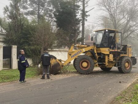 Escobar: Cronograma del sistema municipal de recolección de ramas para esta semana