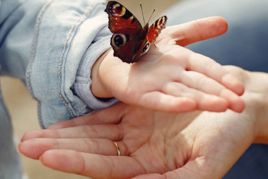 Afianzando Lazos, el programa del Municipio de Tigre que acompaña a la comunidad en el proceso adoptivo de niños, niñas y adolescentes