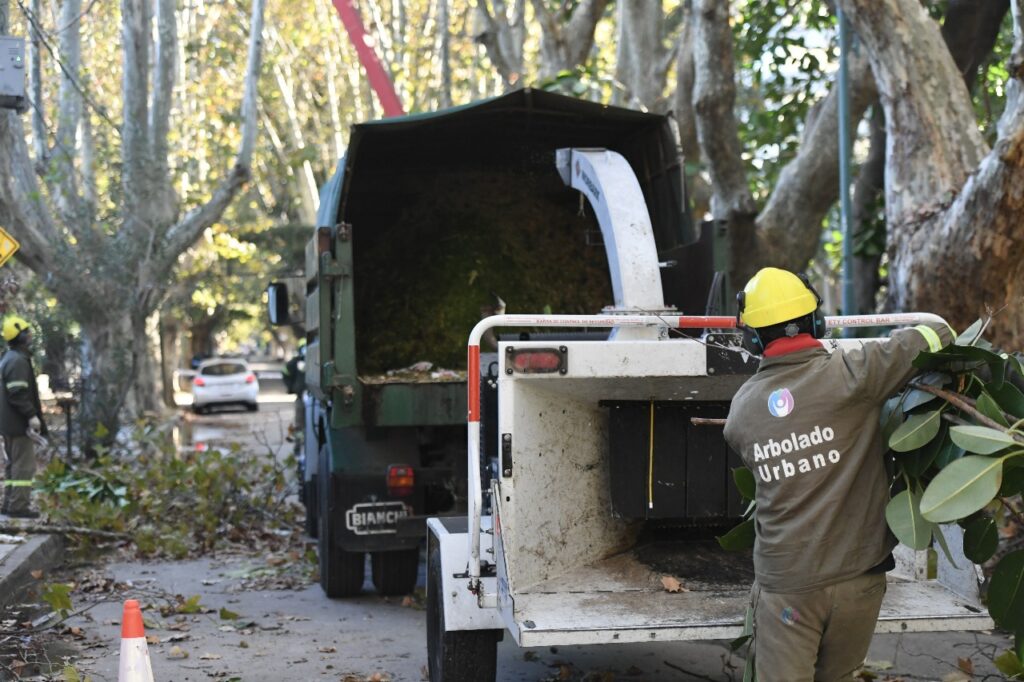 Vicente López: continúa abierta la inscripción al Plan de Poda 2026