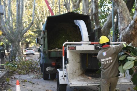 Vicente López: continúa abierta la inscripción al Plan de Poda 2026