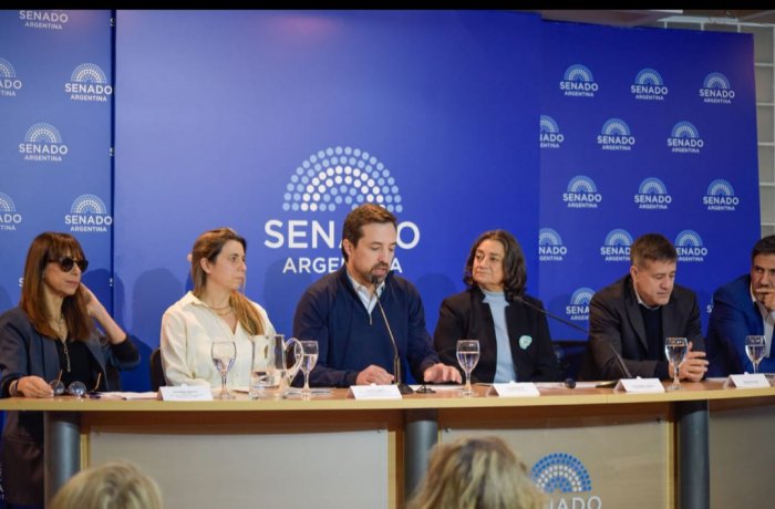 Alerta de las provincias por el aumento de la demanda en salud mental