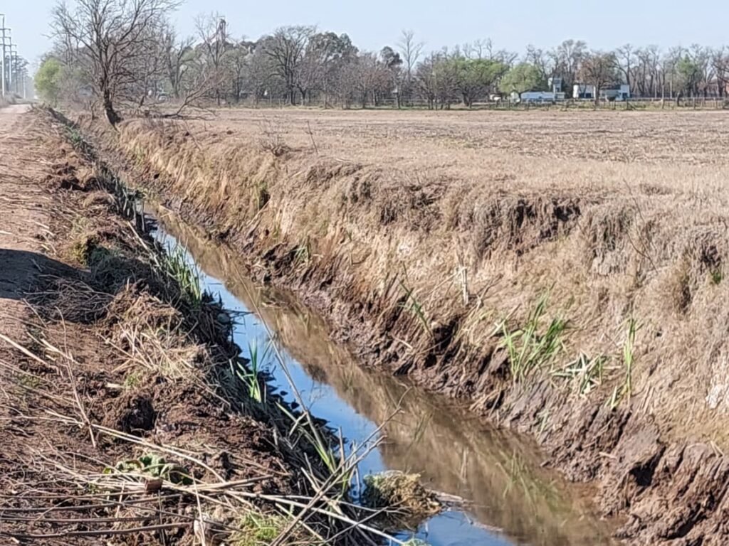 Chivilcoy: El Municipio continúa con la limpieza y nivelación de canales de desagüe
